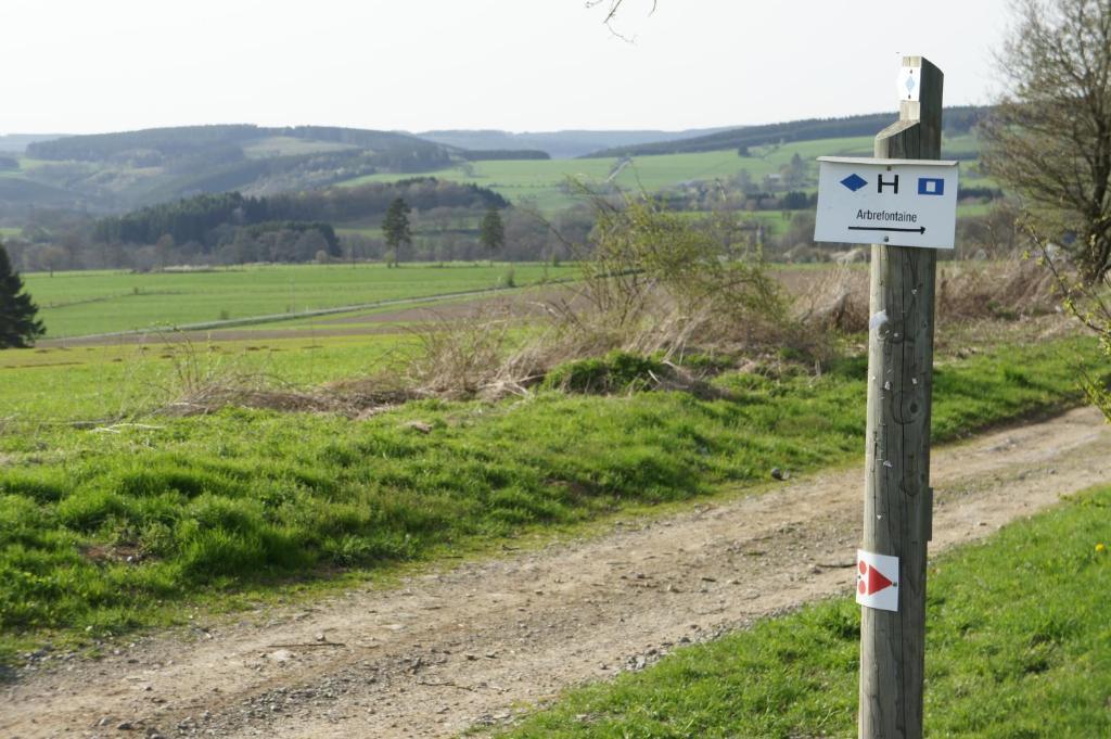 Hostellerie La Maison De Maitre Arbrefontaine Luaran gambar
